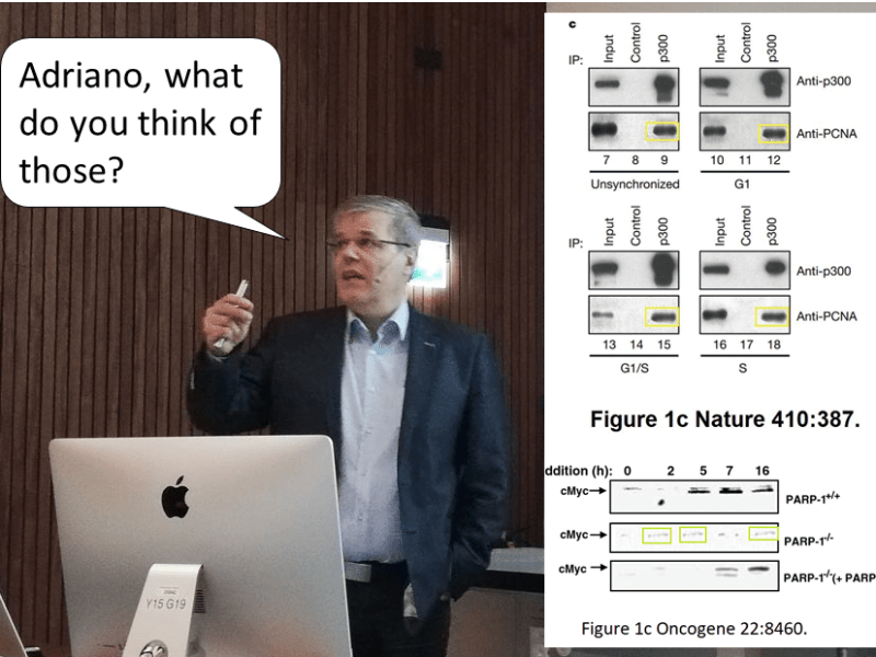 Michael HotTiger of Zurich, patron of biomedical&nbsp;ethics