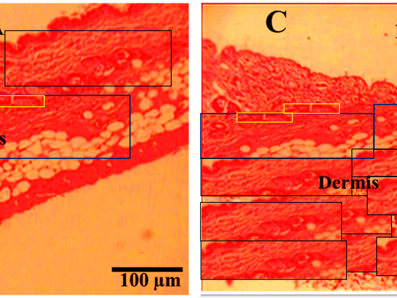 Niyaz Ahmad’s technician did&nbsp;it