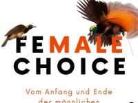 Female Choice by Meike Stoverock: book&nbsp;review