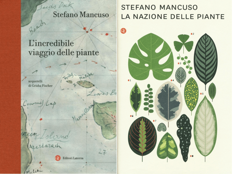 Stefano Mancuso’s Nation of Plants: review of two&nbsp;books