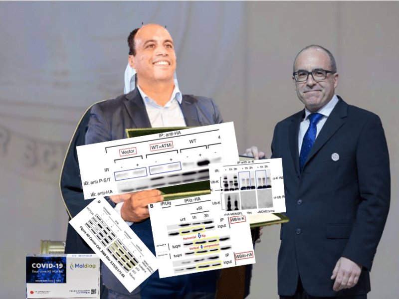 Steve Jackson and the Moumen&nbsp;Troll