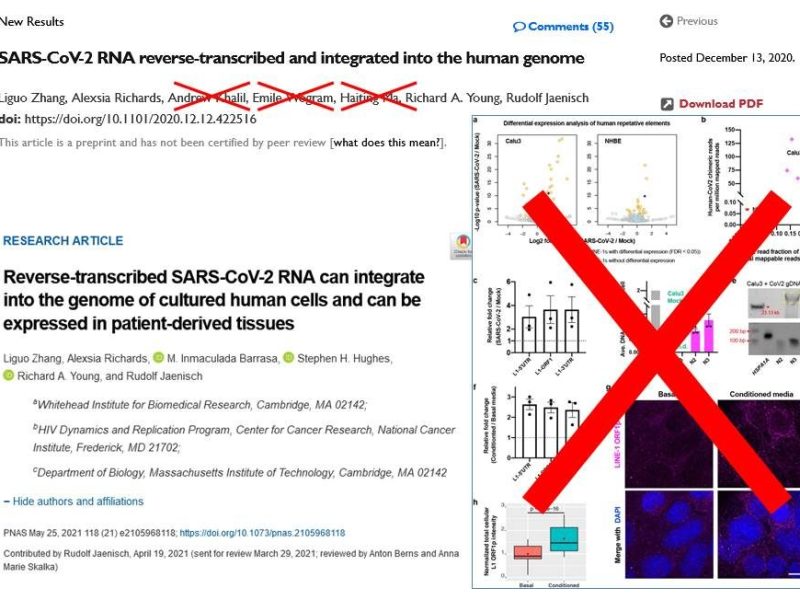 The unwanted COVID-19 preprint of Rudolph&nbsp;Jaenisch