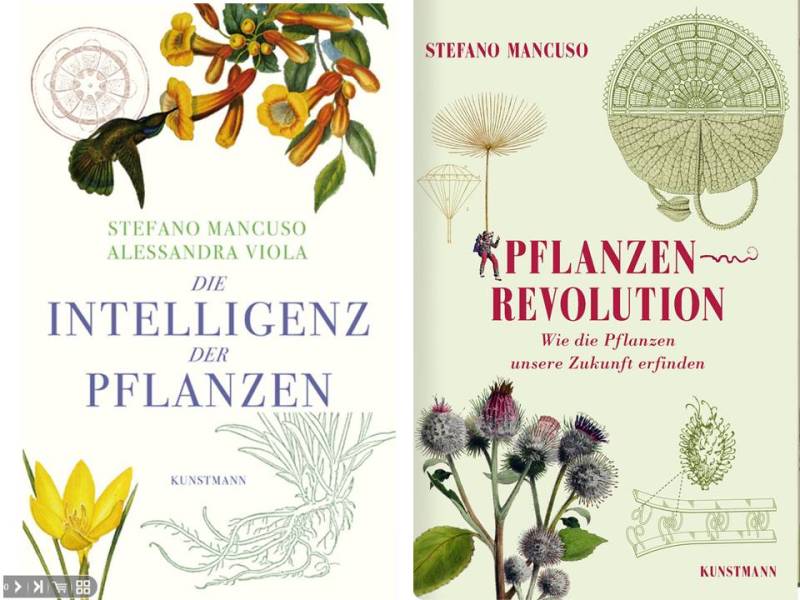 Stefano Mancuso’s Brilliant Green and Plant Revolution: review of two&nbsp;books
