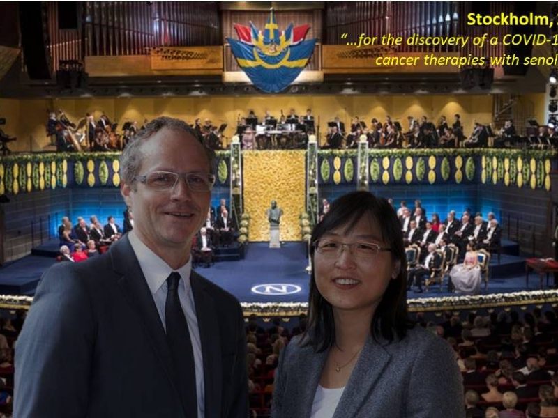 Send in the&nbsp;Senolytics!