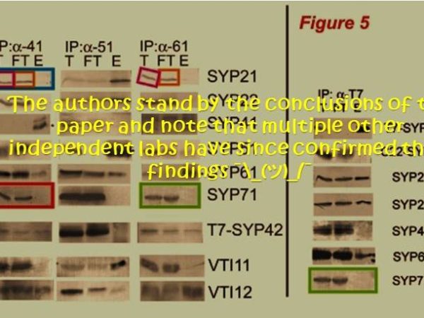 Caught in a&nbsp;SNARE