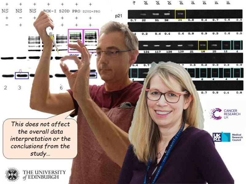 The Hupp and Ball&nbsp;Game