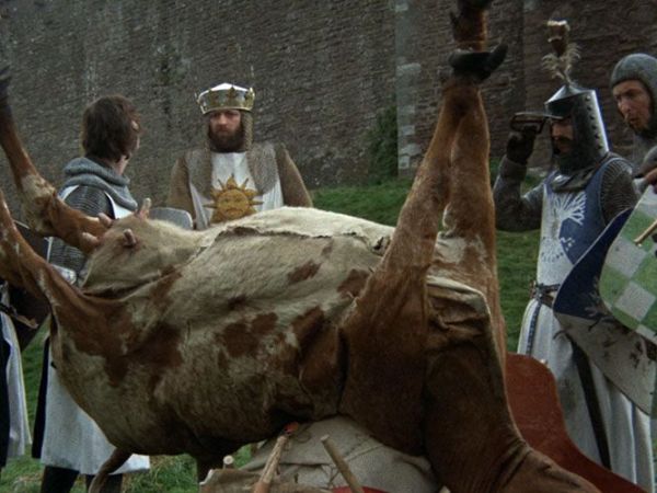 The Men Who Stare at Ketotic&nbsp;Cows