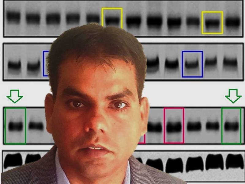 The authors continue to stand behind Dilip Shah’s&nbsp;conclusions