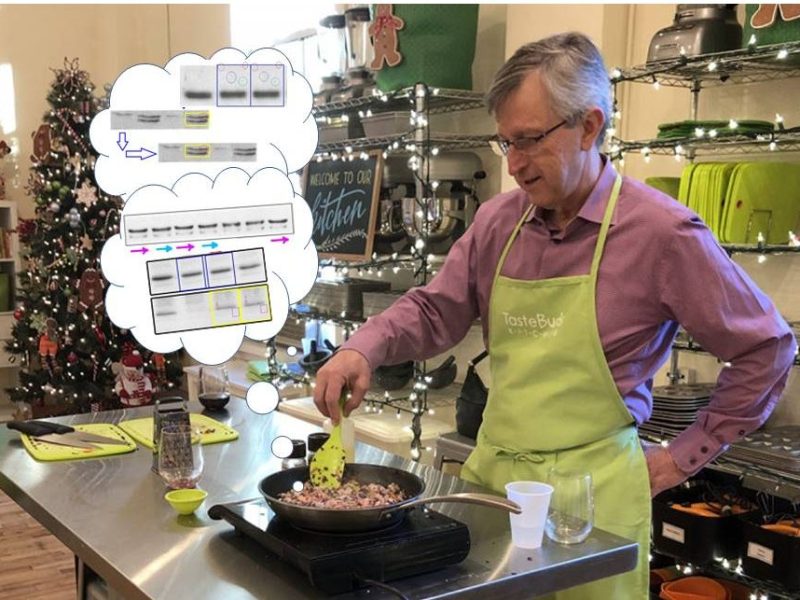 The Legacy of Joan&nbsp;Massague