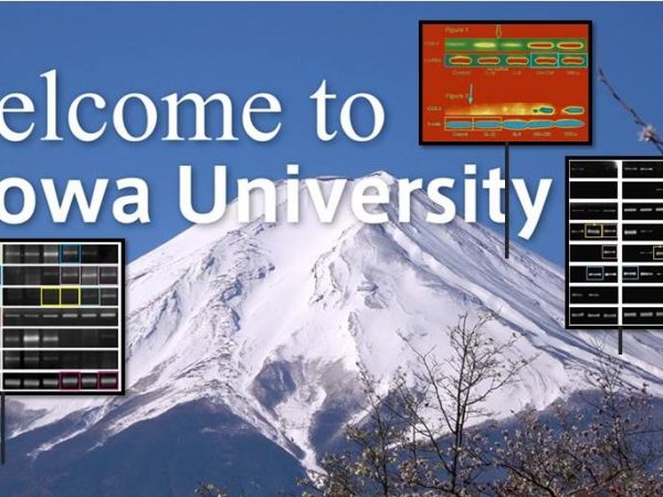 Oral oncology at Showa&nbsp;University