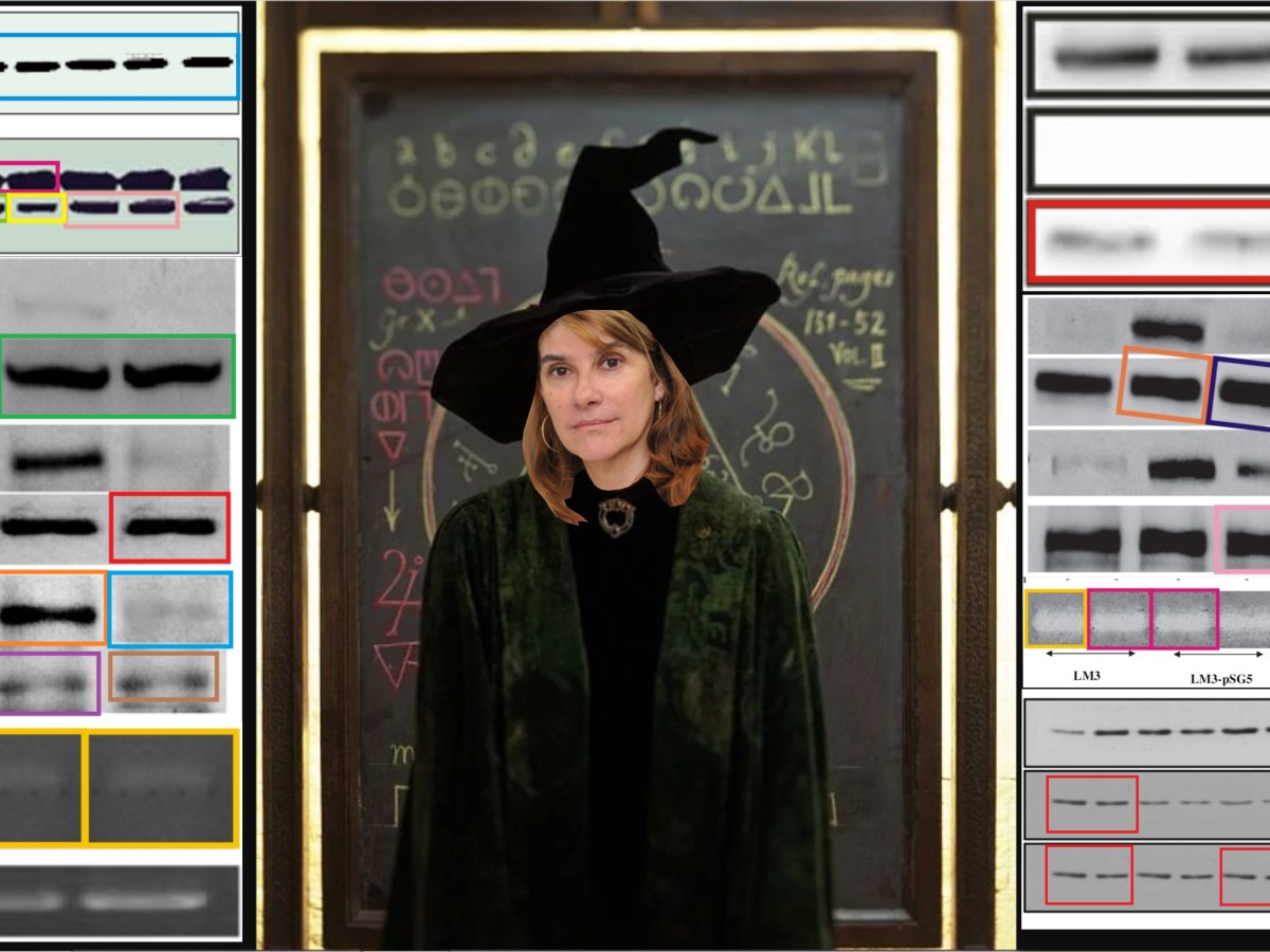 Prof Elizalde’s Magic Cancer Research at&nbsp;CONICET