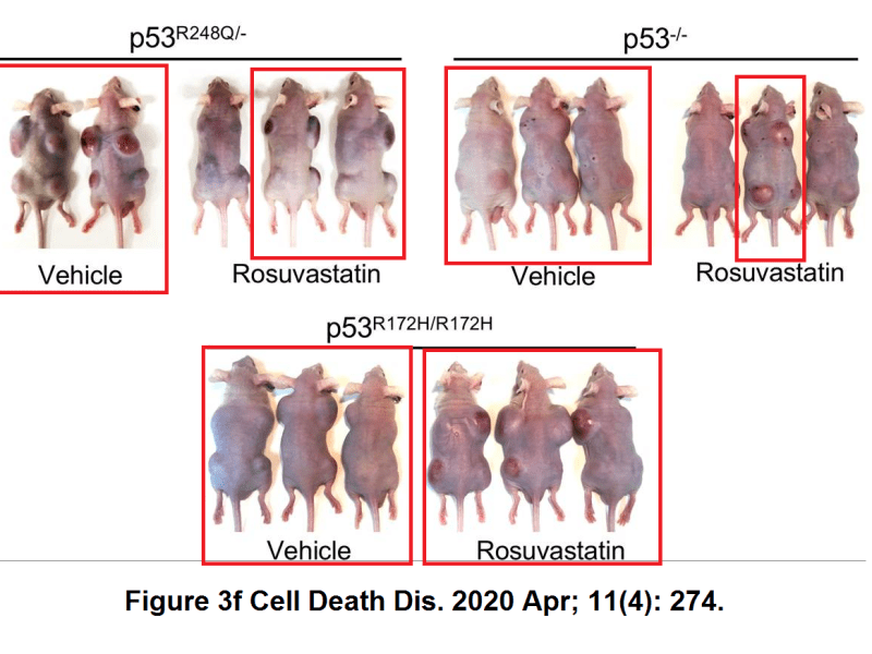 Torturing Small Animals