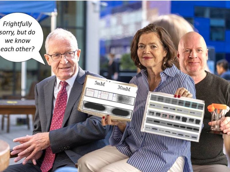 Imperial Irishman Hugh Brady (and his Dublin&nbsp;leprechauns)