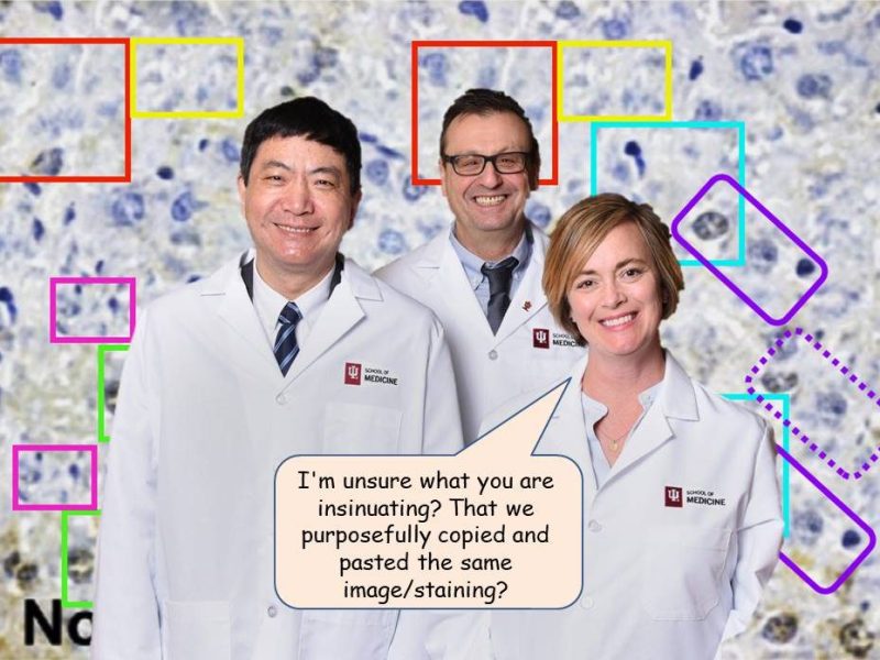 Gianfranco Alpini, in and out of&nbsp;Indiana?