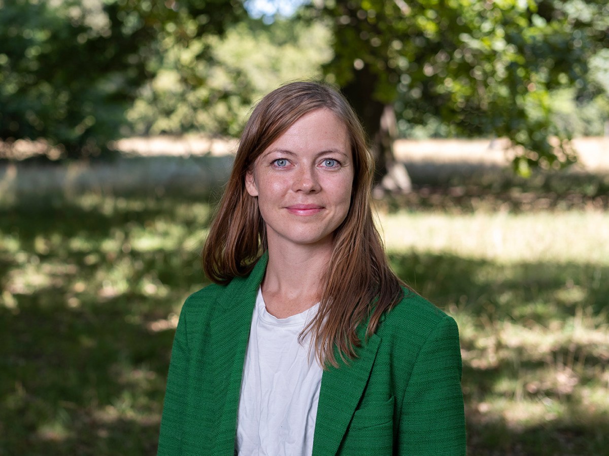 Please Don’t Steal My Work, by Maria&nbsp;Toft