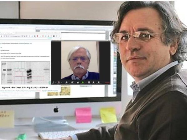 Claudio and Giannino evaluate and&nbsp;analyze