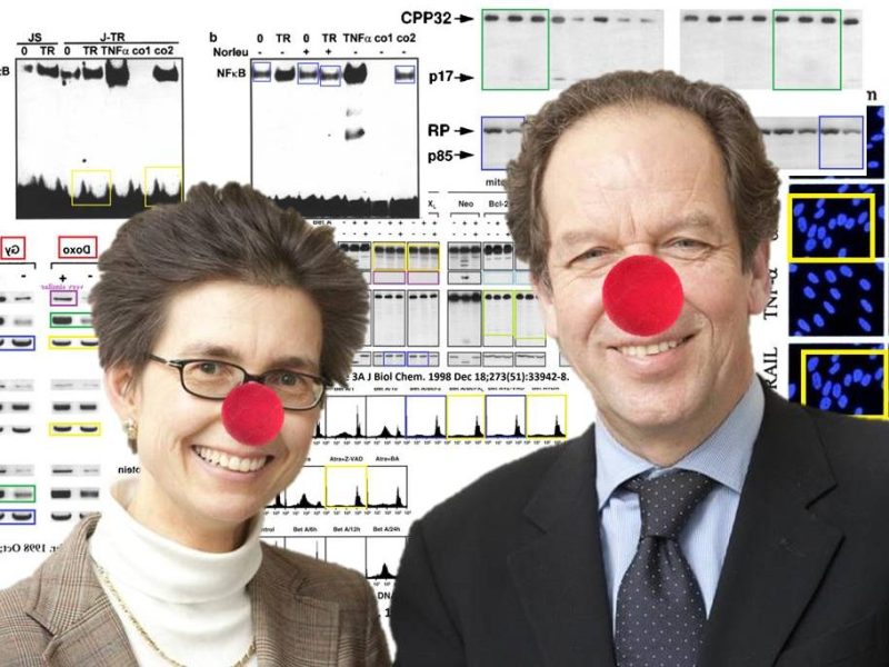 Fulda & Debatin: Reproducibility of Results in Medical and Biomedical&nbsp;Research