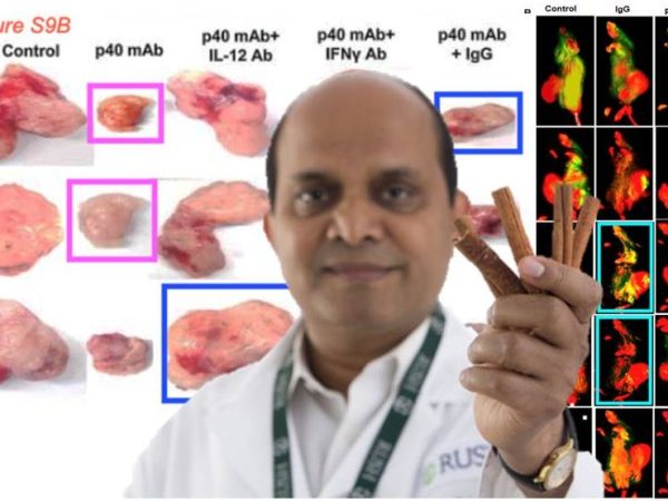 Kalipada Pahan – Cinnamon Boy in&nbsp;Rush