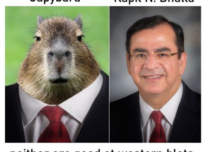 Capybara’s Adventures in Medicinal&nbsp;Chemistry