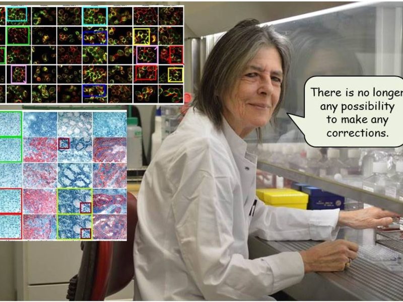 The elusive Margot&nbsp;Zöller