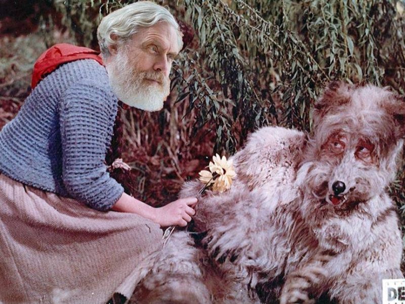 Colossal Liar Wolves