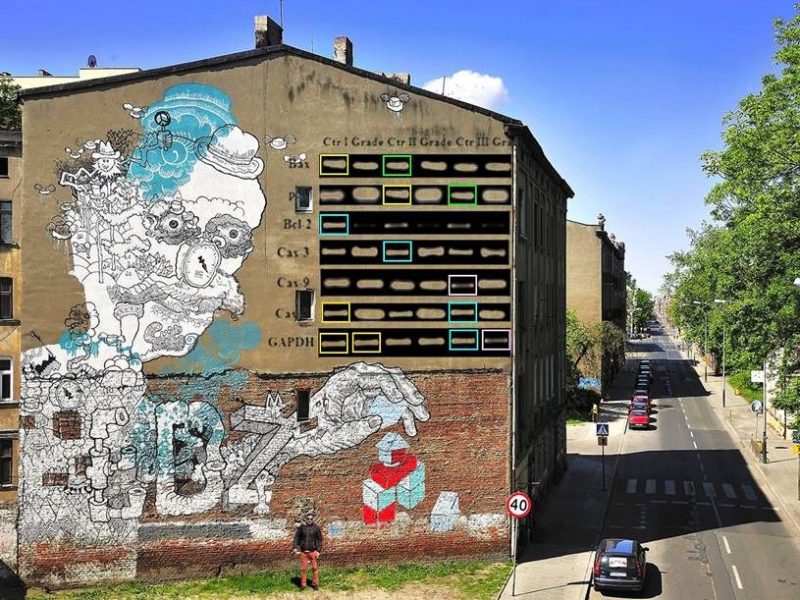 Would you in&nbsp;Lodz?