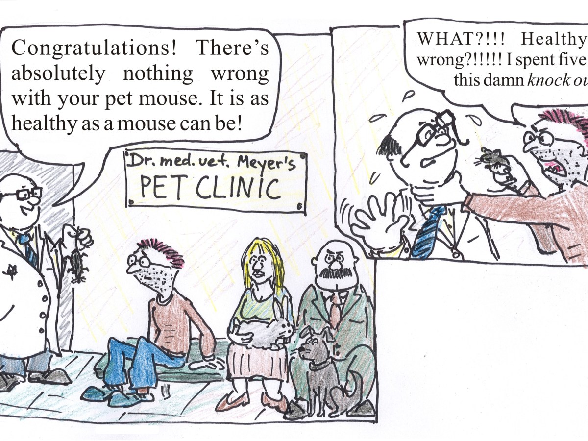 The Lies of&nbsp;Mice